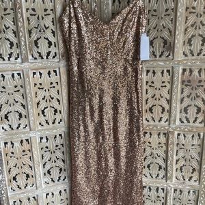 NWT Backless Champagne Sparkle Midi Dress